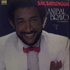 Anibal Bravo