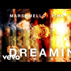 Marshmello ftg. P!nk and Sting