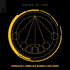 Pendulum, Armin van Buuren & Rob Swire