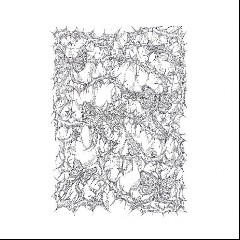 Pavel Milyakov & Yana Pavlova