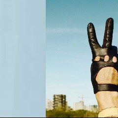 HUGORM NEDLÆGGER FORSVARET