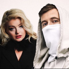 Alan Walker & MEEK