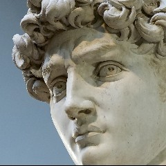 David