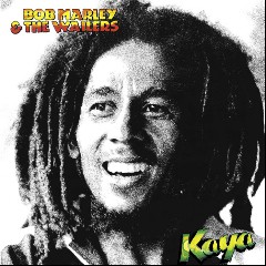 Bob Marley & The Wailers feat. LVNDSCAPE & Bolier