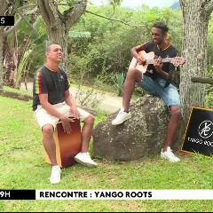 Yango Roots