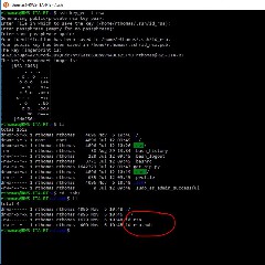 SSH