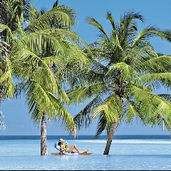 Island Sun