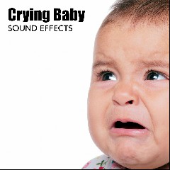Sound Effects Zone