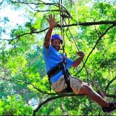 Tree Climber