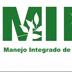 MIP