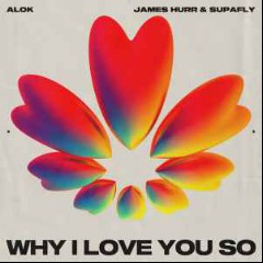 Alok, James Hurr & Supafly