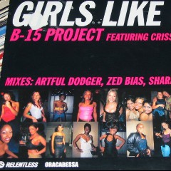 The B‐15 Project