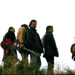 The Rhinos