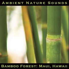 Ambient Nature Sounds