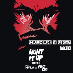 Major Lazer feat. Nyla & Fuse ODG
