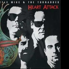 Little Mike & The Tornadoes