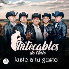 Intocables De Chile