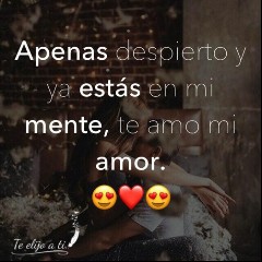 Te Necesito