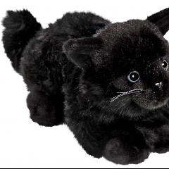 Black Toys