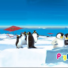 Pigloo