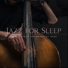 Jazz Night Music Paradise