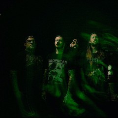 Fit for an Autopsy