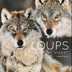 Loups