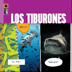 Los Tiburones