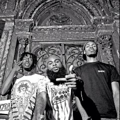 Flatbush ZOMBiES