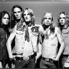 Silvertide