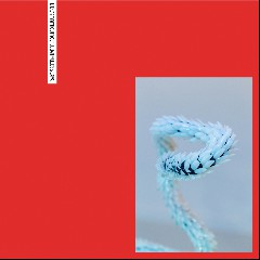 Julian Muller, Caiva