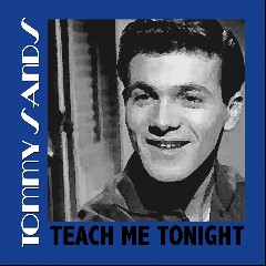 Teach Me Tonight