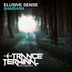 Elusive Sense