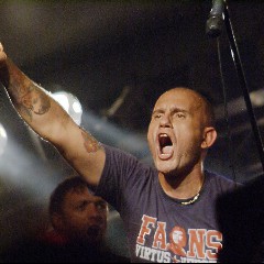 Los Fastidios
