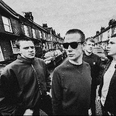 The Spitfires