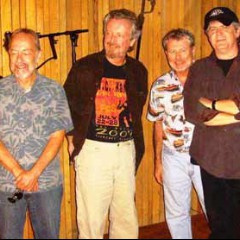 The Decoys