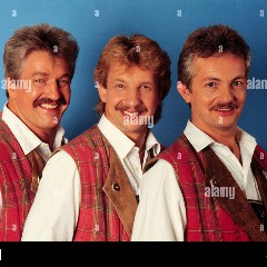 Die 3 Z’widern