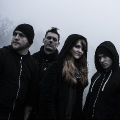 We Are the Catalyst