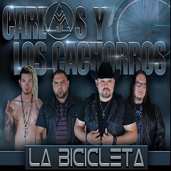 Carlos Y Los Cachorros