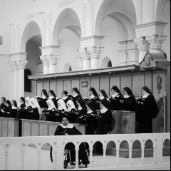 Benedictines of Mary, Queen of Apostles
