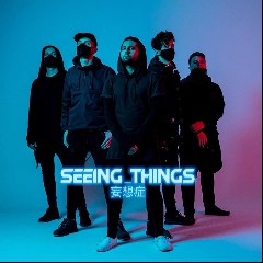 Seeing Things