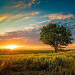 La Naturaleza