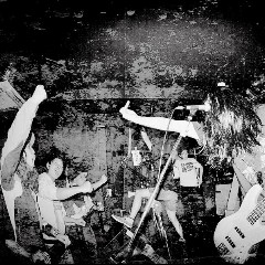 waterweed