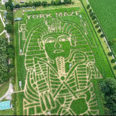 Theme From York, York