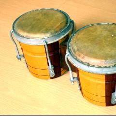Bongos, The