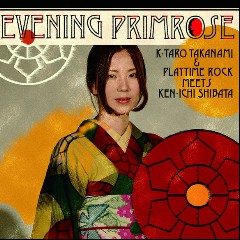 Keitaro Takanami
