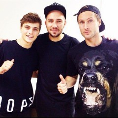 Martin Garrix vs Matisse & Sadko