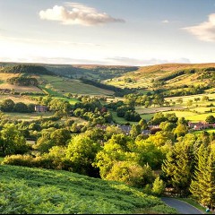 Rosedale
