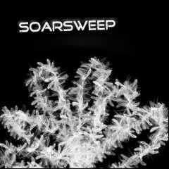 Soarsweep pres. Smooth Stab