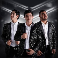 Efecto Elegante